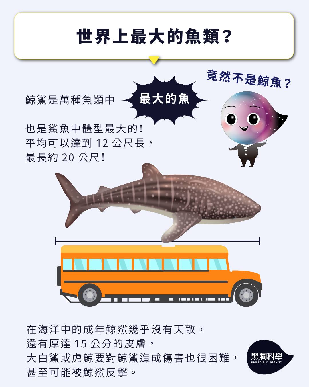 自然課本裡的冷知識ep.08-【鯨鯊是鯨魚還是鯊魚？】 - 黑洞科學教育