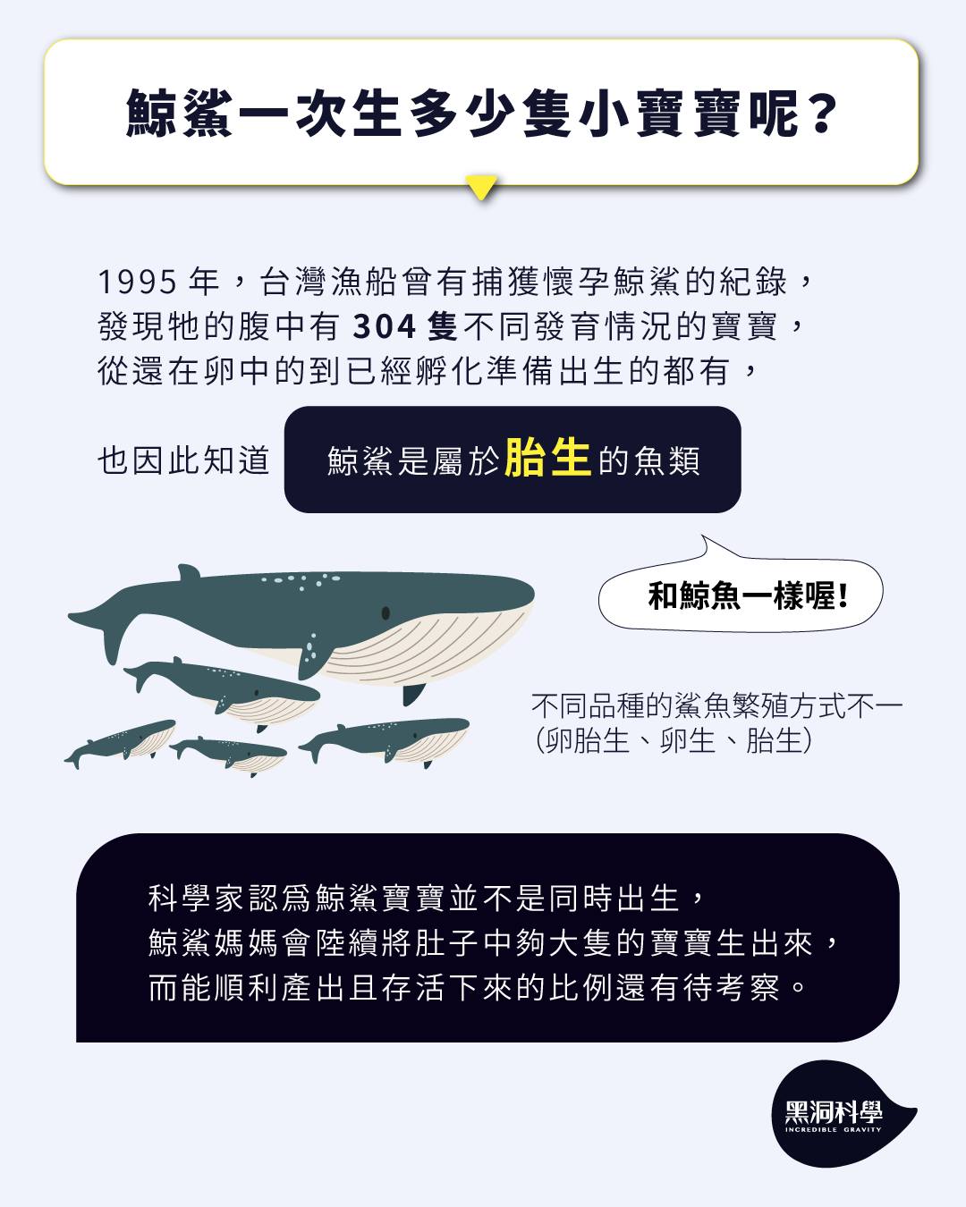 自然課本裡的冷知識ep.08-【鯨鯊是鯨魚還是鯊魚？】 - 黑洞科學教育